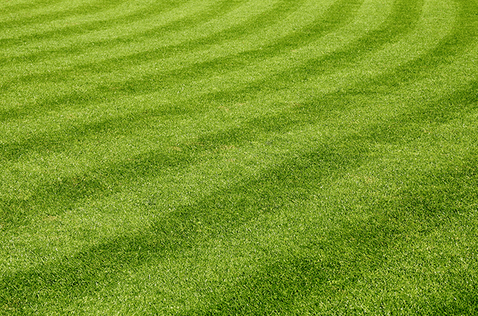 photo of green lawn in port st lucie