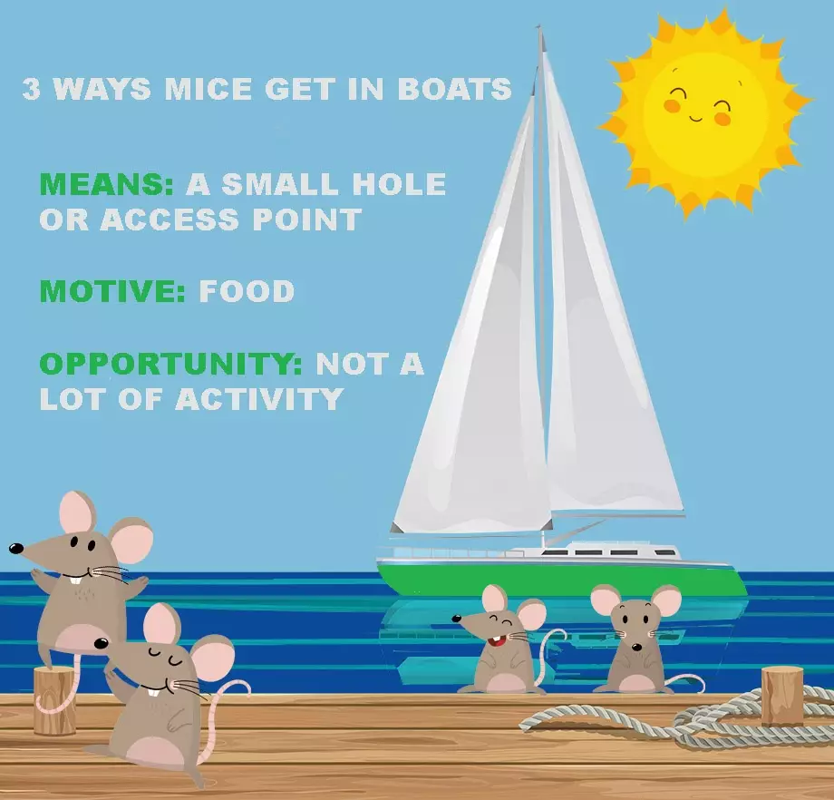 Graphic answering the question, how do mice get in boats?
