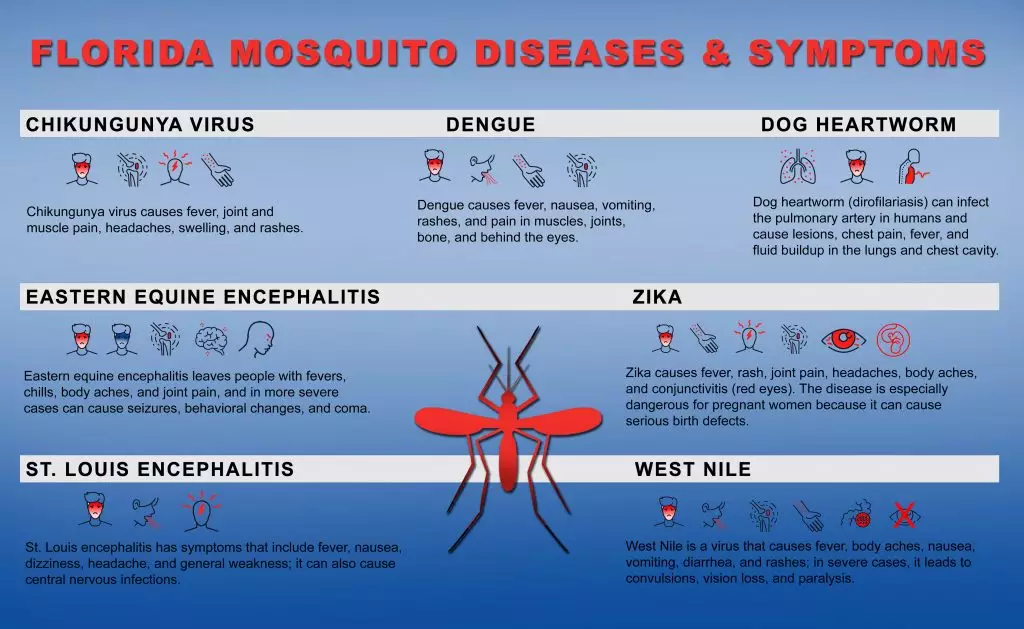 a graphic outlining the potential diseases that can be passed to humans during mosquito season in Florida.