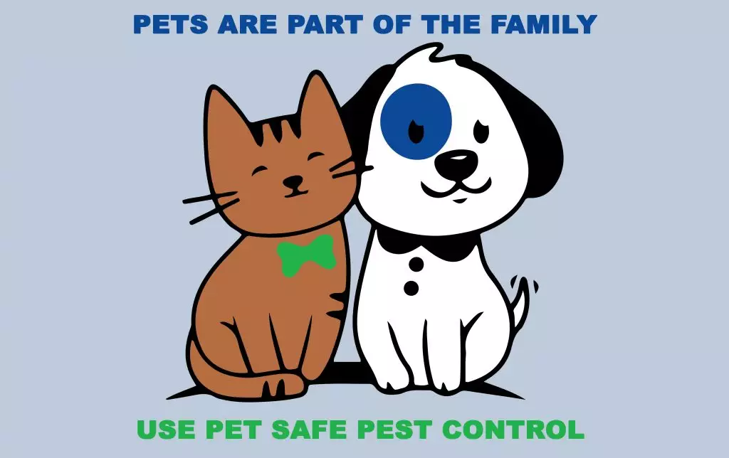 Happy pets whose owners used pest control safe for pets