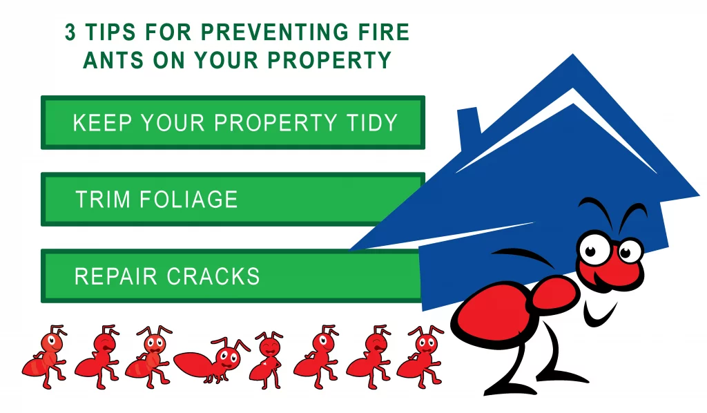 a list of three tips homeowners can use for fire ant treatments