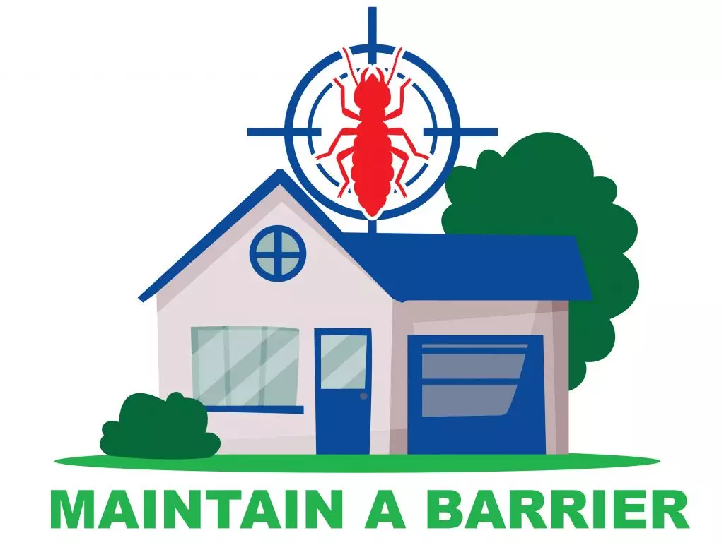 Creating a barrier is an effective preventative termite treatment
