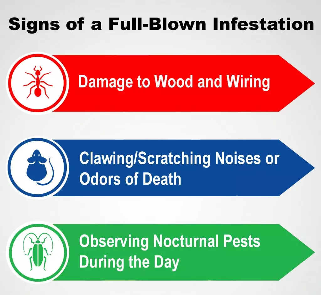 A chart outlining commercial pest infestation signs