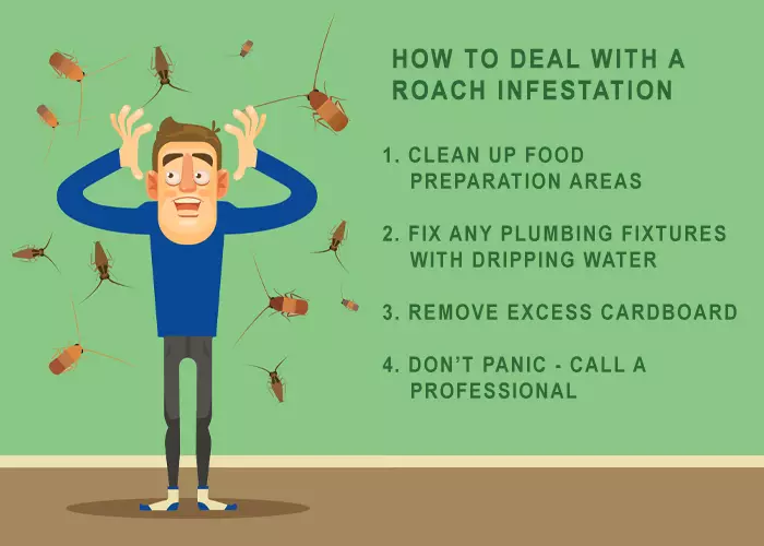 A graphic instructing how to deal with a roach infestation