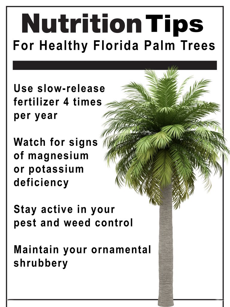 a nutrition label indicating how to care for palm trees in florida