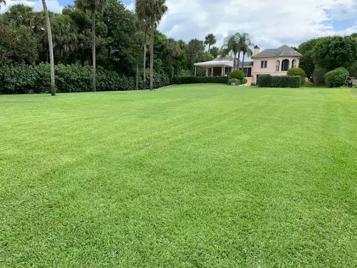 A picture of a healthy lawn due to Nozzle Nolen’s Super Turf complete lawn care service