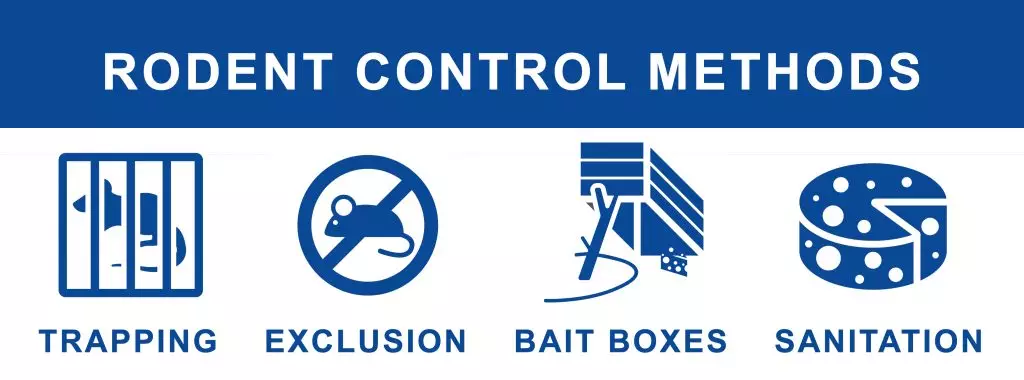 A graphic displaying the best rodent control methods