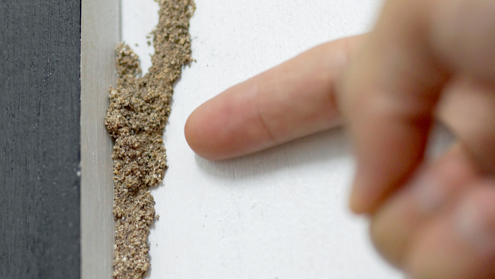 A finger pointing to a mudtube helping with south florida termite identification