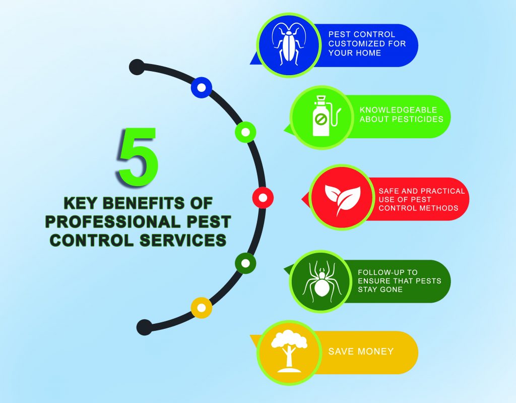 A graphic outlining the five key benefits of professional pest control services vs do-it-yourself pest control