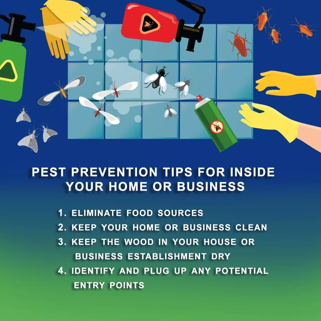 A graphic listing four pest prevention tips for South Florida homes and businesses. 