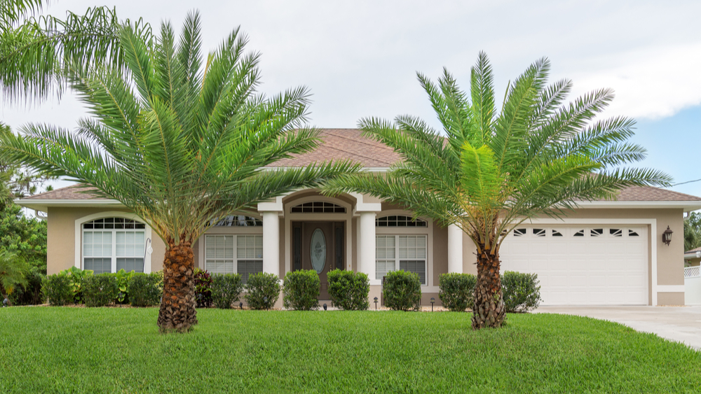 Two 20-foot-high palm trees adorn the front yard of a South Florida home