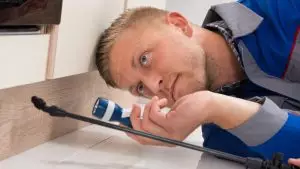 A pest control technician lies on the floor and looks for signs of an infestation under a cabinet using a flashlight and a spray nozzle.