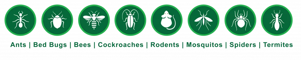 a graphic with some of the pest services Nozzle Nolen handles including ants, bed bugs, bees, cockroaches, rodents, mosquitos, spiders, termites.