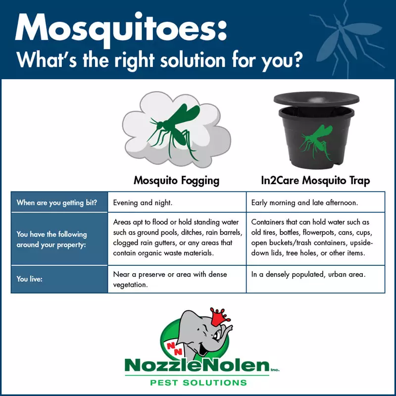 mosquito options