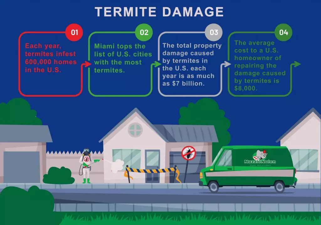 A graphic displaying how damaging termites can be and why termite heat treatment is the best option.