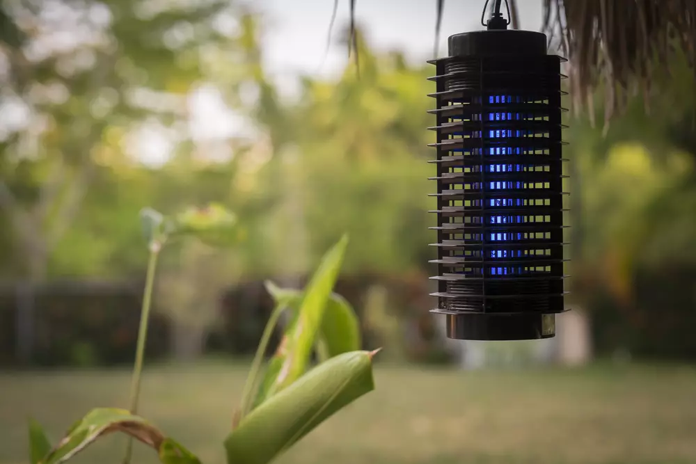 A blue insect lamp designed to trap mosquitoes and other flying insects