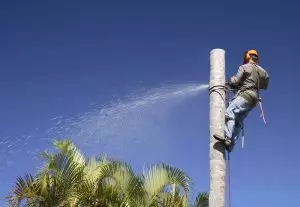 A man climbs the trunk of a dead palm tree and lops off sections of the trunk with a chainsaw.