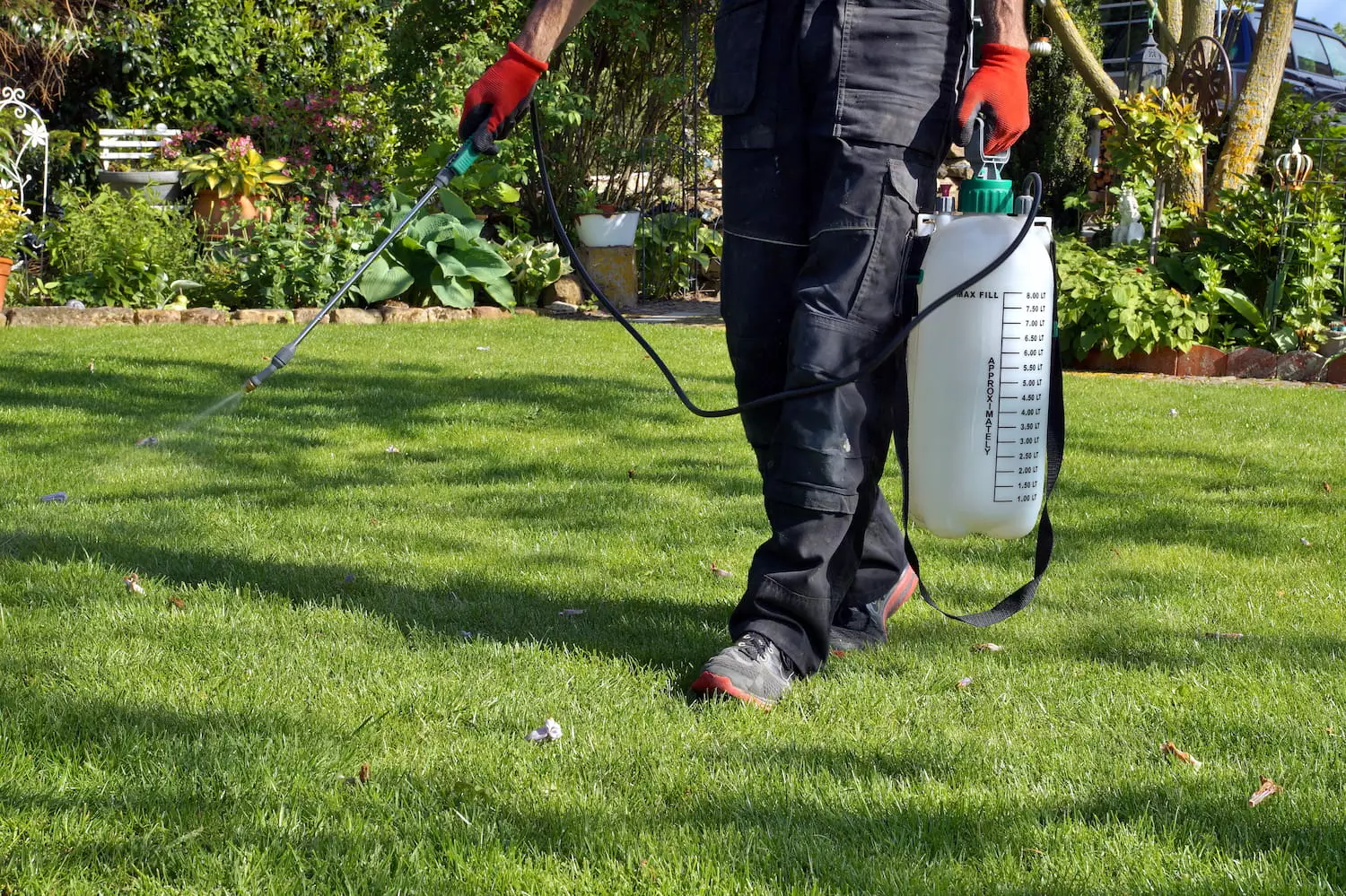 A pest control technician treats the lawn of a lush backyard.