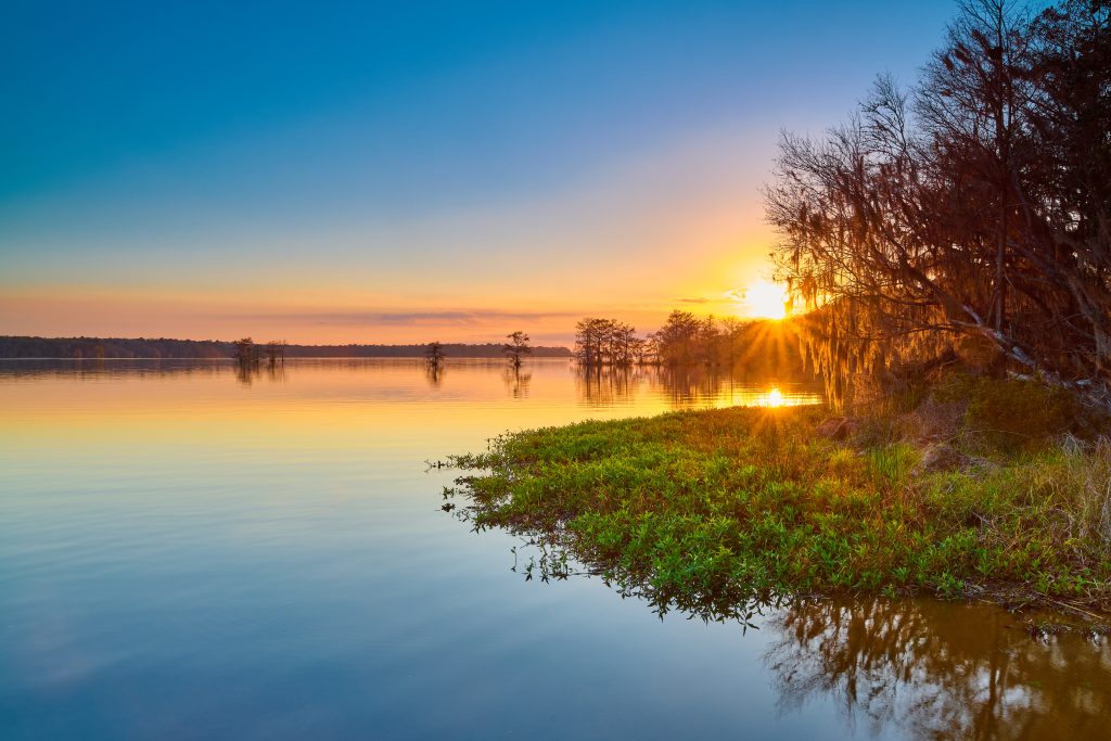 Wetlands in Florida