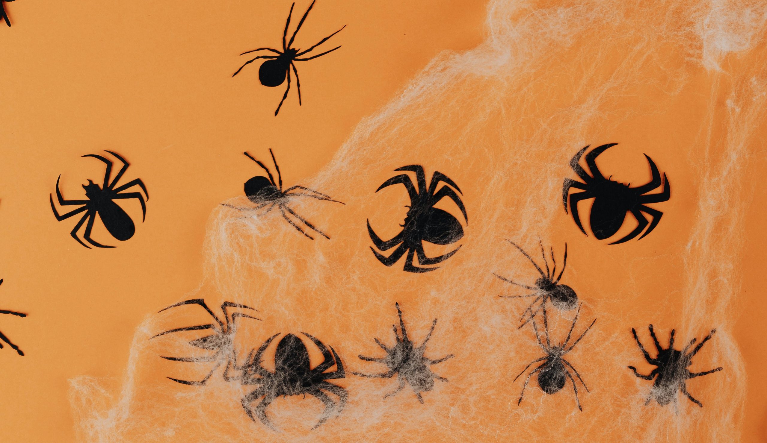 Paper cutouts of black spiders are scattered across an orange background, partially covered by white web-like material. The spiders vary in size and are randomly positioned, creating a Halloween-themed scene.