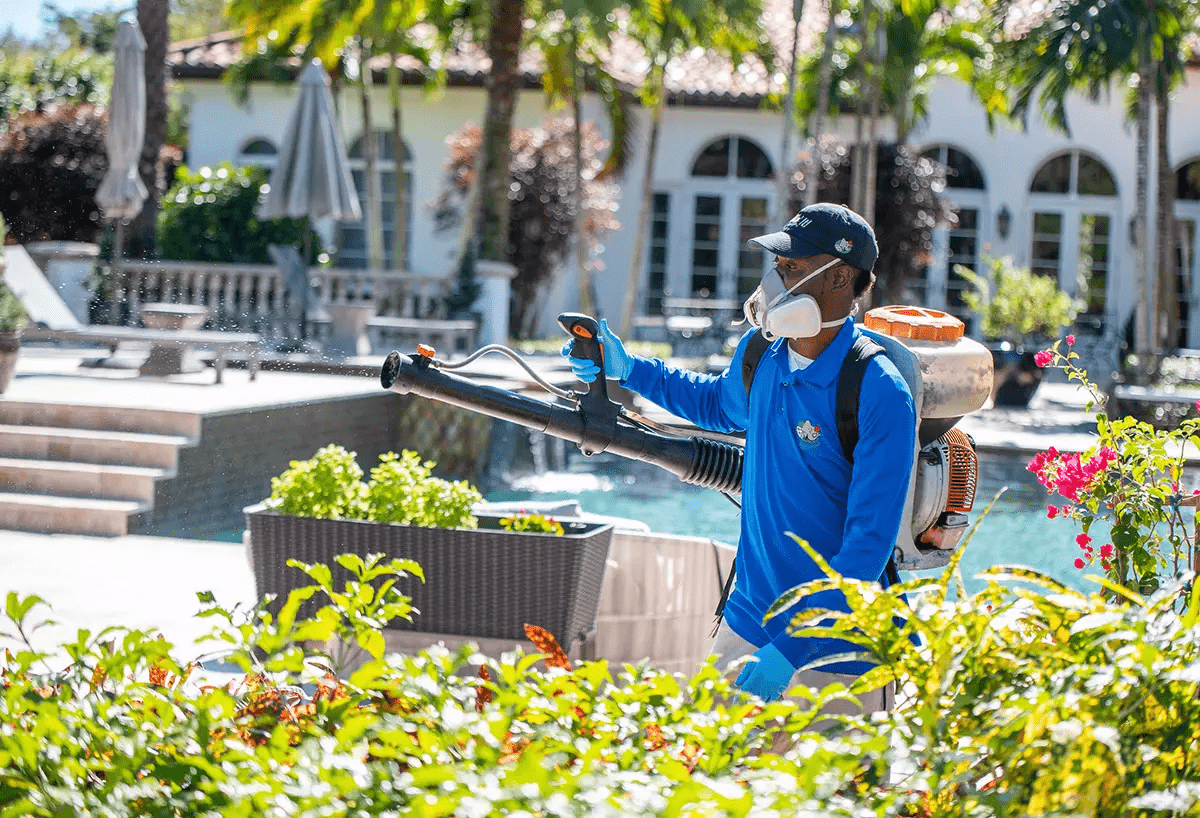 A worker wearing a blue shirt and protective mask is spraying pesticide near a poolside garden. The background shows a white building with arches, palm trees, and sun umbrellas, suggesting a resort or hotel setting.