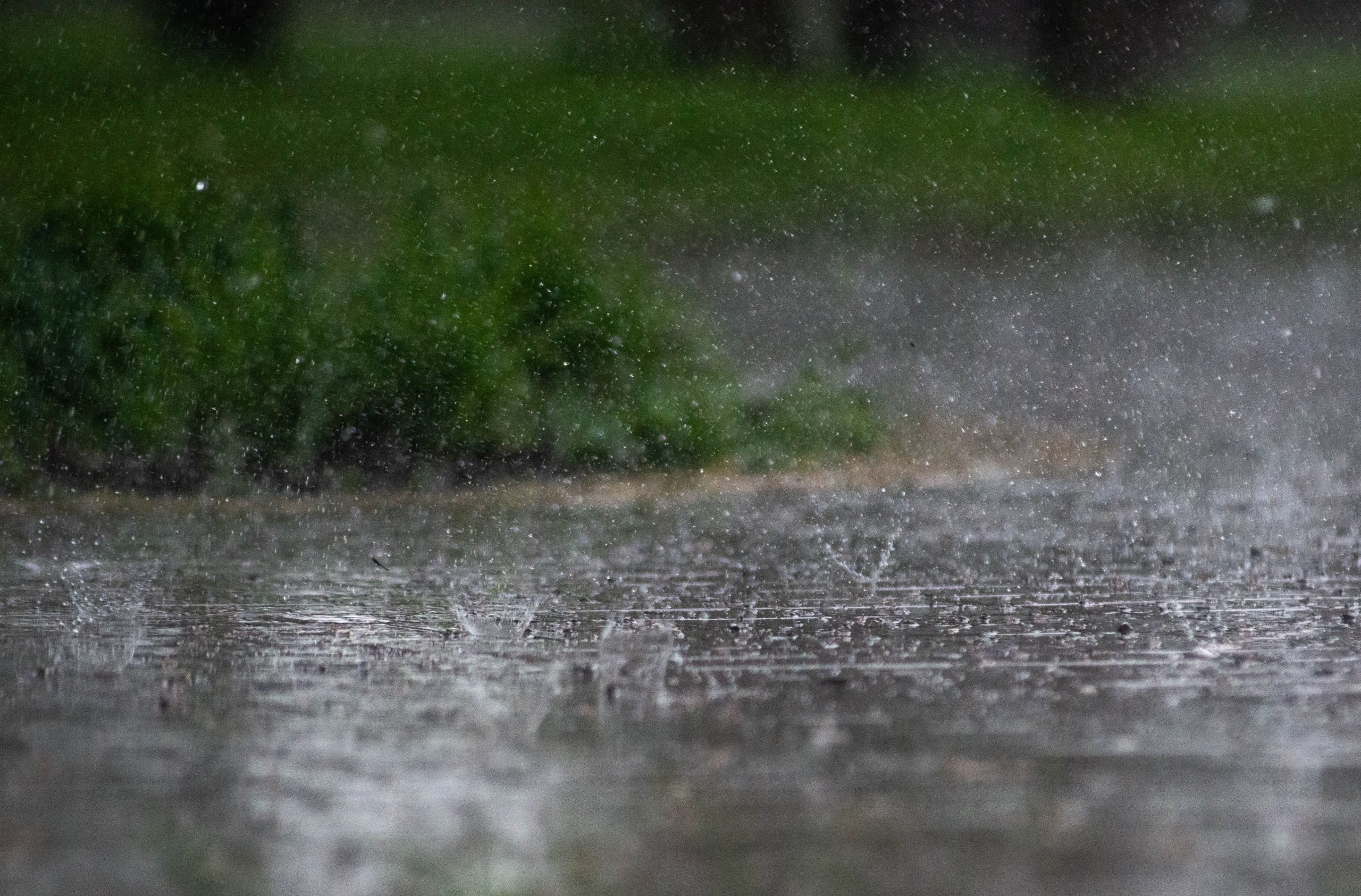 heavy rain on a roadway near grass